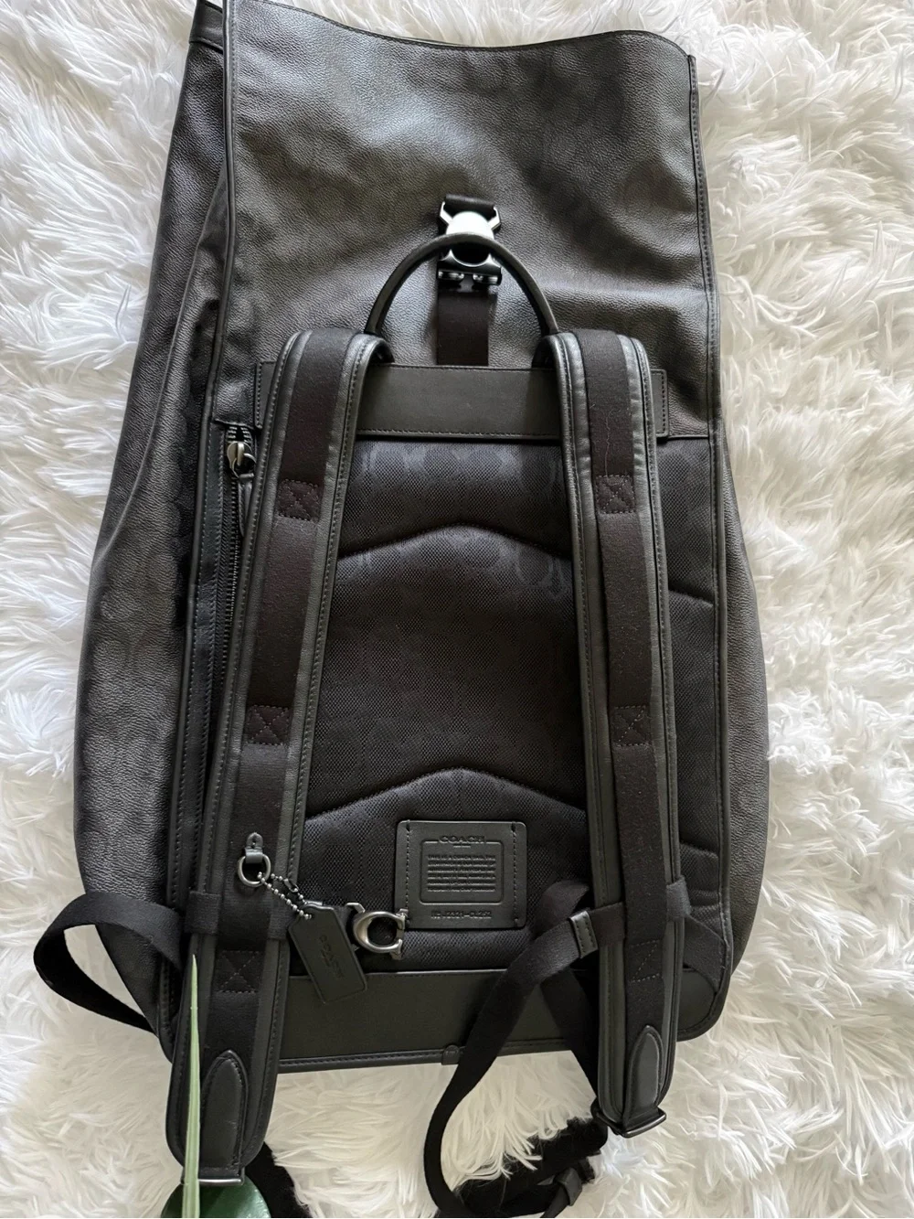 Coach stylish roll